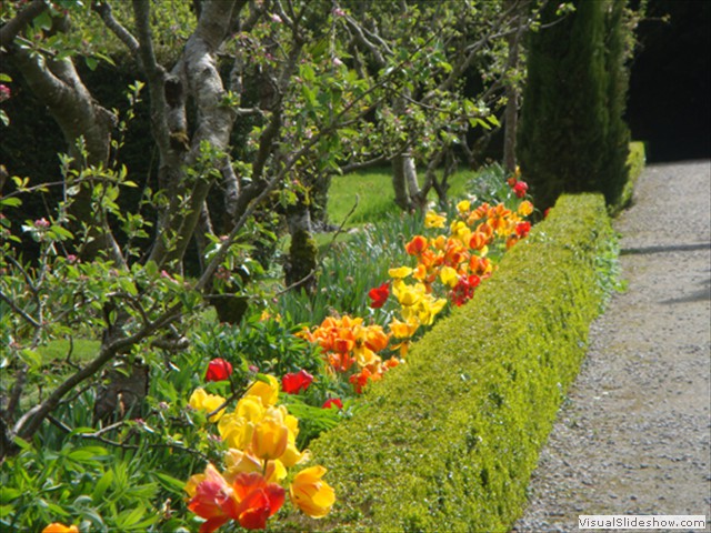 path along upper garden