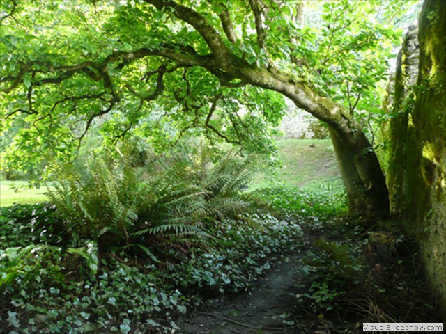 path in Lower Garden