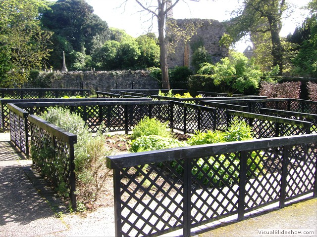 Herb garden at Greyabbey