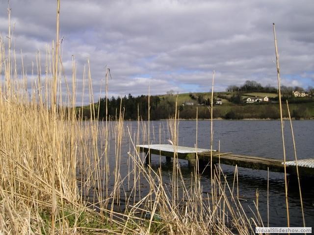Lake in Co Cavan (Read about County Cavan)