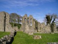 Inch Cistercian Abbey