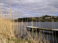 Lake in Co Cavan (Read about County Cavan)